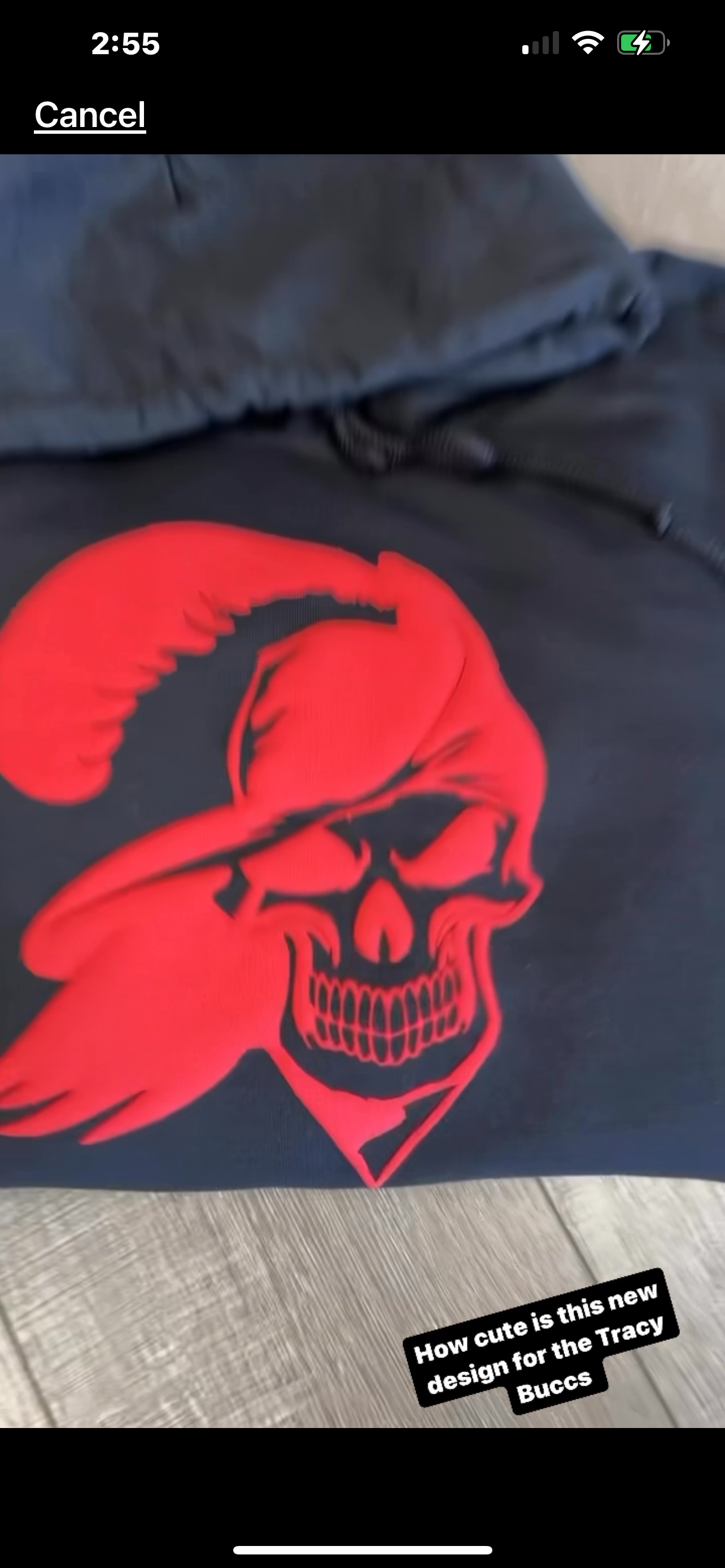 Logo puff hoodie or tee