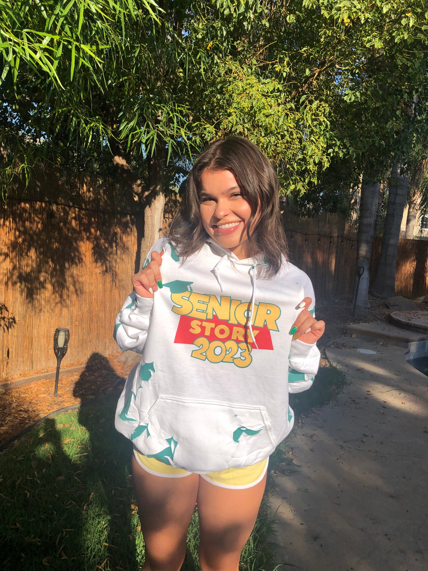 THS SENIOR STORY HOODIE