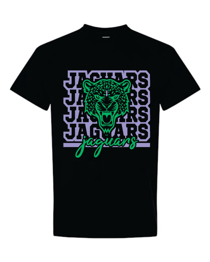Monticello Jaguars Jaguars