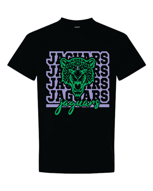 Monticello Jaguars Jaguars